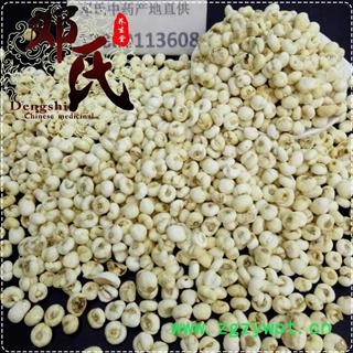 贝母 小贝母 小平贝母 选货 优选品质 产地直供 邓氏中药批发图4