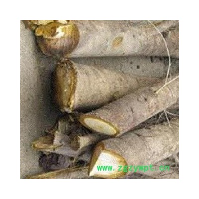 新鲜野生核桃树根大别山深山中药材/另有核桃枝