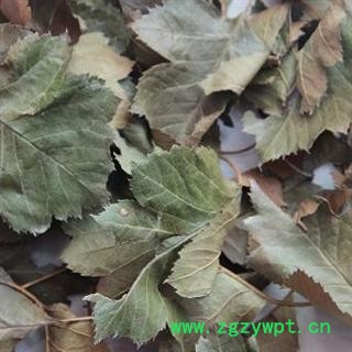 山东蒙山  山楂叶  统货  主用药厂 兽药 大货优惠