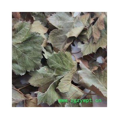 山东蒙山  山楂叶  统货  主用药厂 兽药 大货优惠