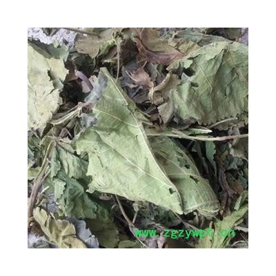 青桑叶统货 产地 山东省临沂市平邑县 大货优惠