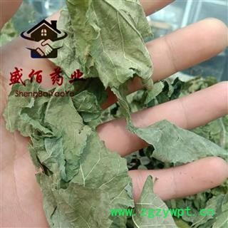 桑叶 青桑叶统货 产地 江苏省徐州市沛县图2