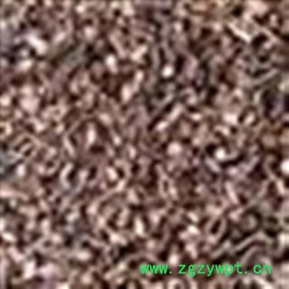 夜交藤 统 产地 广西壮族自治区图2