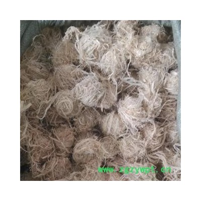 竹茹 统 产地 四川省