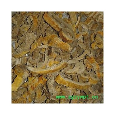 桑皮 统 产地 广西壮族自治区河池市凤山县