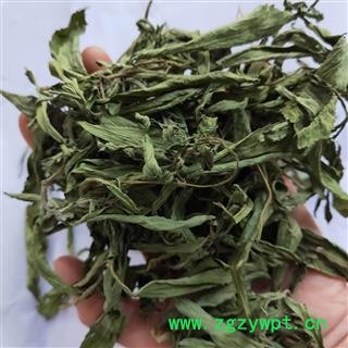 甜叶菊 本店新到甜叶菊好货颜色青货干净 产地 黑龙江省图3