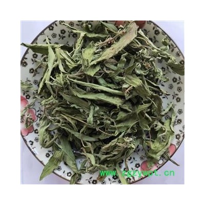 甜叶菊 本店新到甜叶菊好货颜色青货干净 产地 黑龙江省