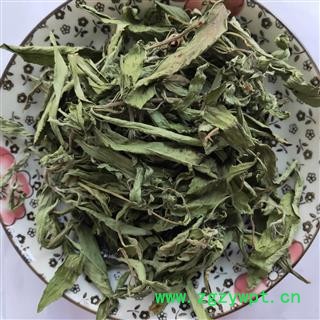 甜叶菊 本店新到甜叶菊好货颜色青货干净 产地 黑龙江省图4