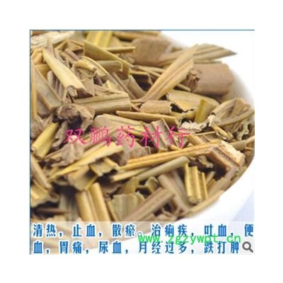 苏铁叶 铁树叶 统 产地 安徽省黄山市黄山区