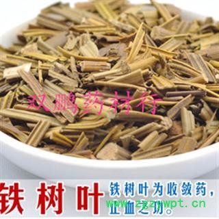 苏铁叶 铁树叶 统 产地 安徽省黄山市黄山区图2