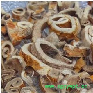 桑白皮 统 产地 山东省图2