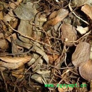 煜庭药业 抱石莲 镜面草 石瓜子 地连钱 金龟藤 返现进行中图2