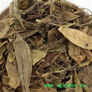 煜庭药业 抱石莲 镜面草 石瓜子 地连钱 金龟藤 返现进行中图3