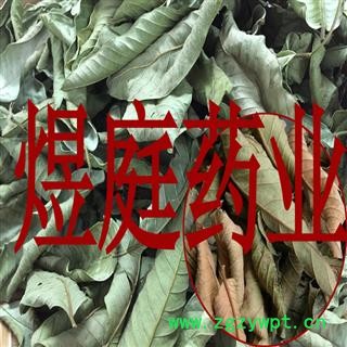 煜庭药业 番石榴叶 正品图2