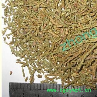 煜庭药业 刺柏叶 刺柏树叶图2