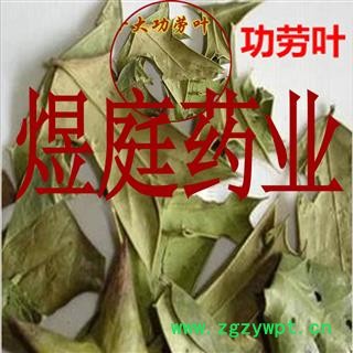 煜庭药业 十大功劳叶图4