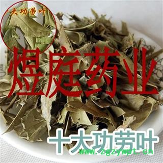 煜庭药业 十大功劳叶图2