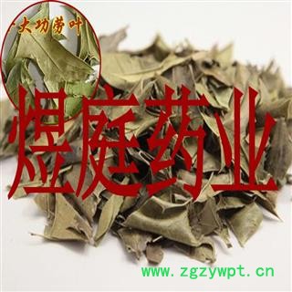 煜庭药业 十大功劳叶图3