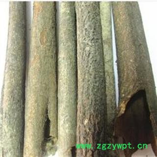 肉桂皮 统 产地 广西壮族自治区玉林市市图2