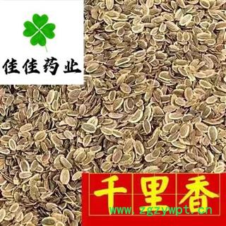 千里香 九里香统货 产地 北京市 无杂质 供应各种中药材图2