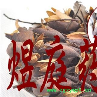 煜庭药业 香椿子 响铃子图4