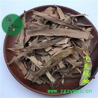 飞天蜈蚣 蜈蚣草 石上蜈蚣 落地蜈蚣 百足草 统货 产地 广西壮族自治区图2