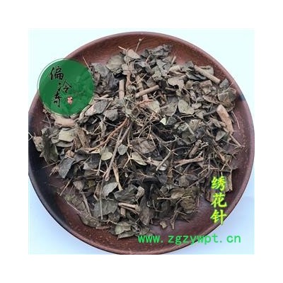 老虎刺 刺虎 寿星草 寿庭木 雀不踏 绣花针 正品统货 产地 广西 买家承担运费