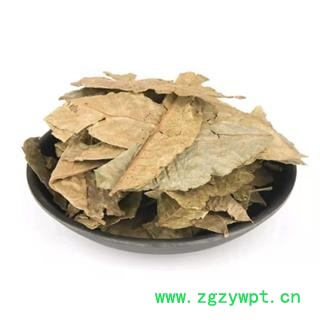 青钱柳叶 统货 产地 云南省图4