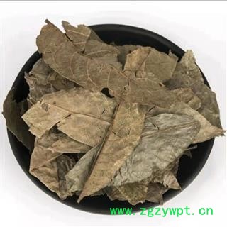 青钱柳叶 统货 产地 云南省图2