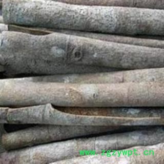 肉桂 厚皮肉桂 药用 干货 产地 广西壮族自治区图3