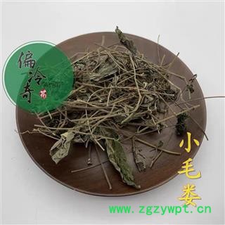 小毛蒟 小毛蒌 小毛娄 十八风藤 小叶爬岩香 统 产地 广西壮族自治区图2