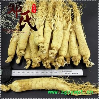 【满包邮】人参20支 13年以上 生晒参原皮参 精选 产地 吉林省白山市长白朝鲜族自治县 邓氏中药行图4