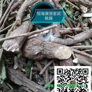 恒海康源堂正品武靴藤 匙羹藤 金刚藤、蛇天角、饭杓藤  统 产地 广西壮族自治区图3