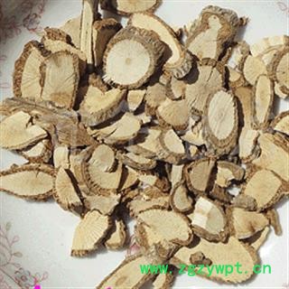 灵吉药业   七叶莲   龙爪叶  多蕊木 接骨草  蒴藋  陆英 七珊瑚花   地道药材  货真价实  批发各种规格中药材  花茶  矿石 野生冷背中药材图3