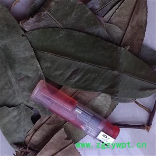 灵吉药业  石楠叶 促销价 质量好 批发各类中药材  花茶  矿石 冷背珍稀野生药材图2