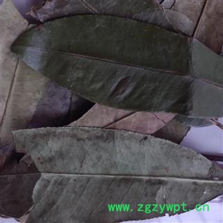 灵吉药业  石楠叶 促销价 质量好 批发各类中药材  花茶  矿石 冷背珍稀野生药材图3