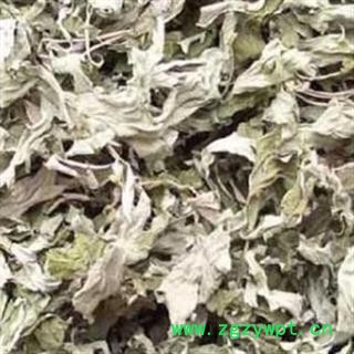 灵吉药业 艾叶 正品  促销  地道药材 产地直销图2