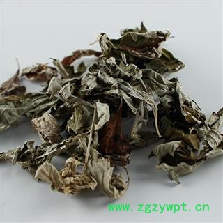 艾叶 精选 产地 河南省图2