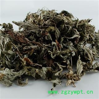 艾叶 精选 产地 河南省图3