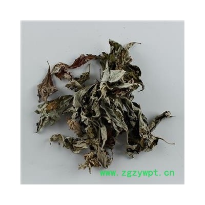 艾叶 精选 产地 河南省