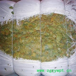 产地直销  布渣叶  （常年供货各凉茶厂）图3