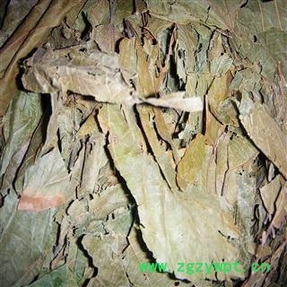 产地直销  布渣叶  （常年供货各凉茶厂）图2