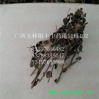 老虎刺 统货 产地 广西壮族自治区贺州市市辖区图2