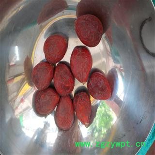 铁树子选 产地 广西壮族自治区贵港市平南县图3