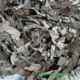 荷叶 荷叶丝，荷叶片，统片，绿色， 产地 河南省图2