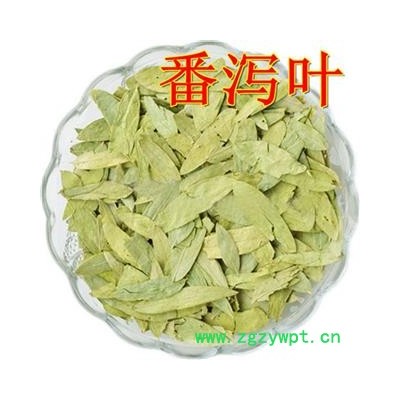 番泻叶 统 大货青叶  精选货物  片片精选量大从优