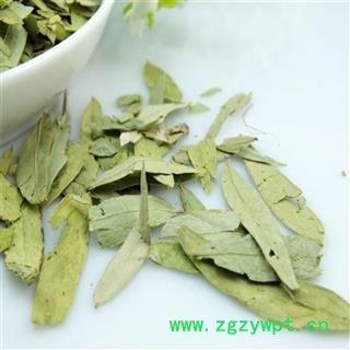 番泻叶 统 大货青叶  精选货物  片片精选量大从优图4