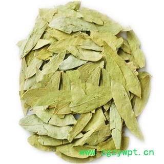 番泻叶 统 大货青叶  精选货物  片片精选量大从优图2