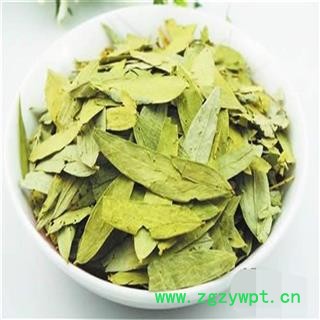 番泻叶 统 大货青叶  精选货物  片片精选量大从优图3