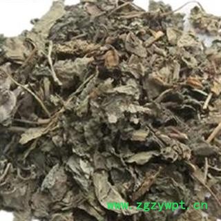 京辉药业 臭梧桐叶 臭梧桐 八角梧桐 追骨风 正品 促销图2